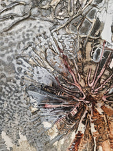 Load image into Gallery viewer, Jennifer Luck, Order of Chaos, Oil on Canvas