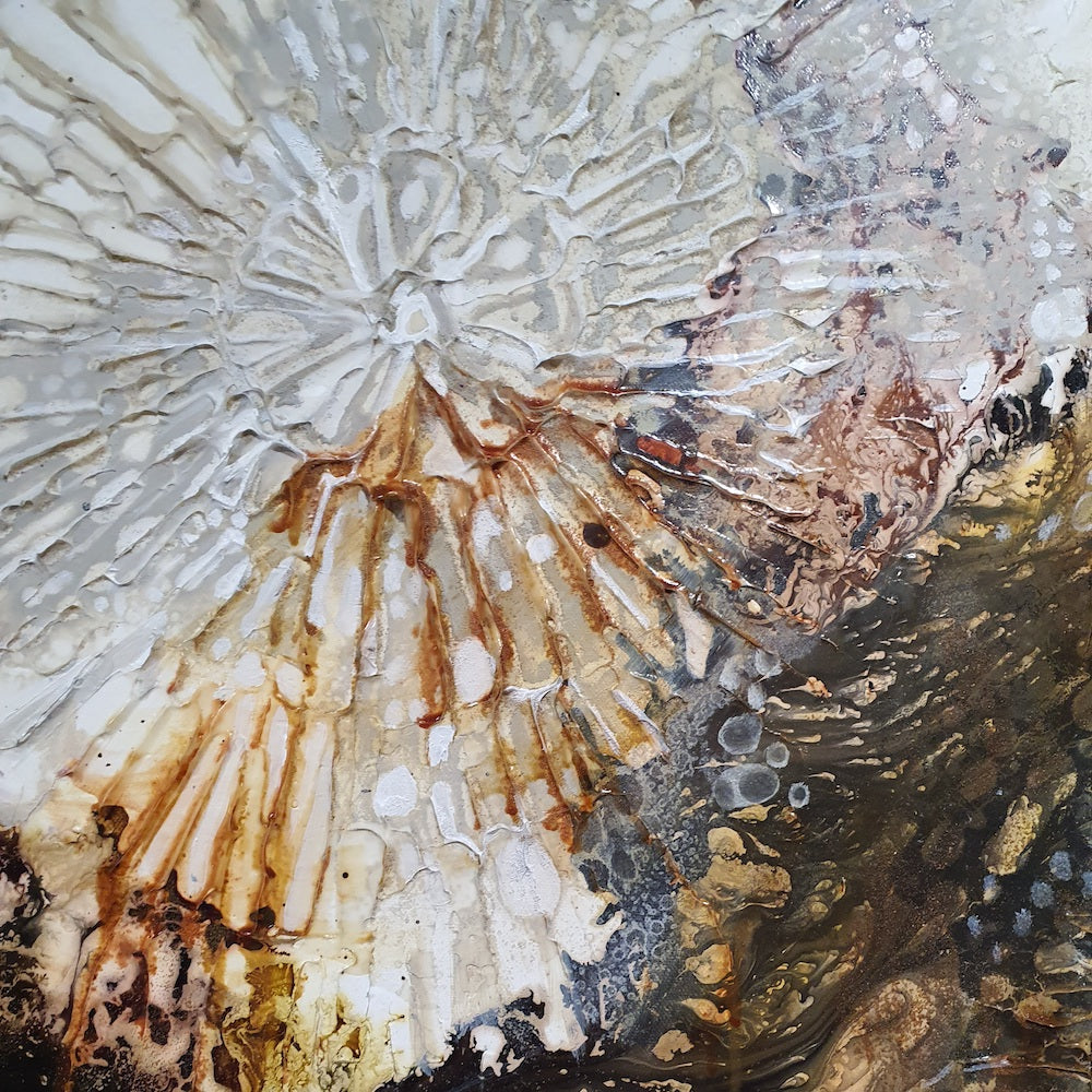 Jennifer Luck, Cosmos, Oil on Canvas