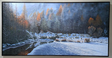 Load image into Gallery viewer, Daniel Beresford, Winters Warmth, Oil on Canvas
