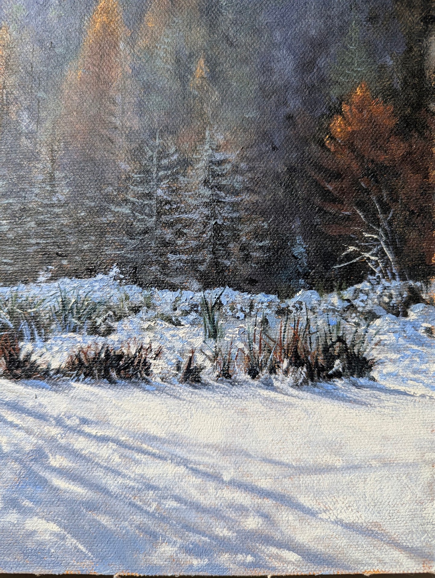 Daniel Beresford, Winters Warmth Study, Oil on Canvas Panel