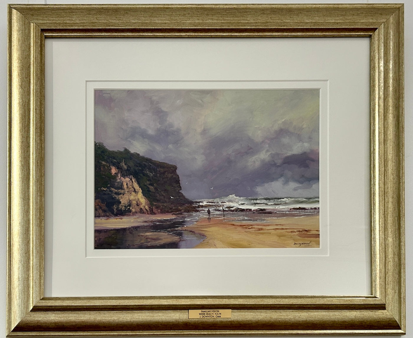 John Downton, Familiar Vision, Werri Beach NSW, Oil Painting