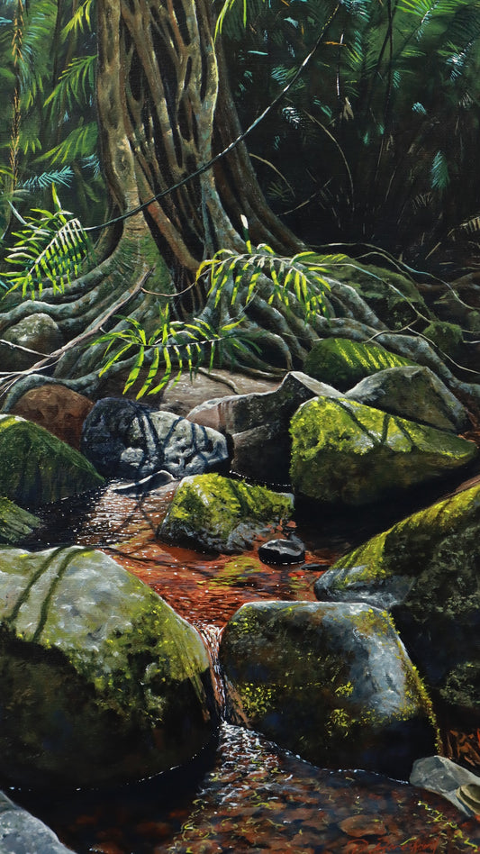 Daniel Beresford, Mossy Forest, Oil on Linen
