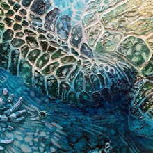 Load image into Gallery viewer, Jennifer Luck, Sea Life Differently, Oil on Canvas