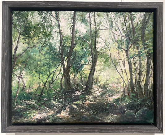 John Downton, A Fairy Glimmer. Foxground NSW. Oil on Canvas