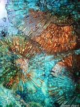 Load image into Gallery viewer, Jennifer Luck, Shallows, Oil on Canvas