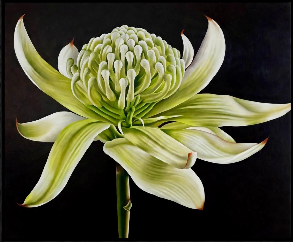 Jen Tucker, Wirrimbirra White, Oil on Linen , Black Oak Float Frame
