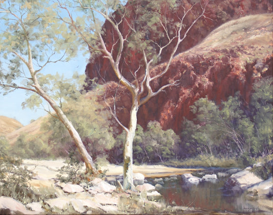 John Downton, Delightful Oasis, Macdonnell Ranges Central Australia, Oil Painting