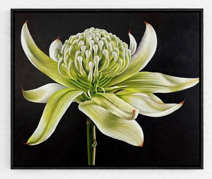 Jen Tucker, Wirrimbirra White, Oil on Linen , Black Oak Float Frame