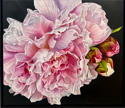 Jen Tucker, Peonies, Oil on Canvas, Oak Float Frame