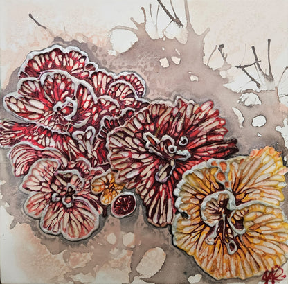 Jennifer Luck, Dew on Saffron Fans, Oil on Canvas