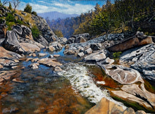 Load image into Gallery viewer, Daniel Beresford, Adelong Falls, Oil on Canvas
