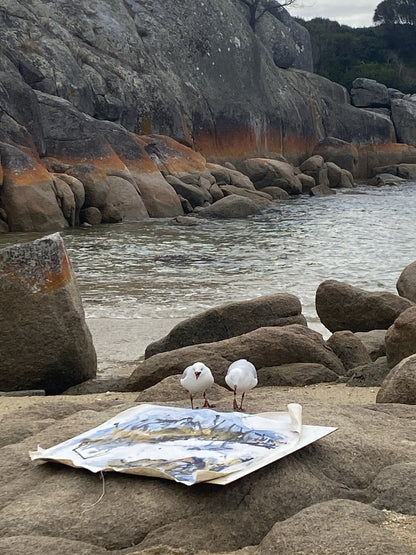 Netta Thompson, Bay of fires, Acrylic on Canvas