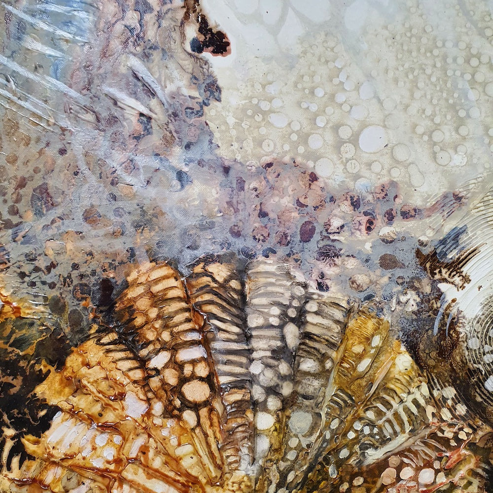 Jennifer Luck, Cosmos, Oil on Canvas