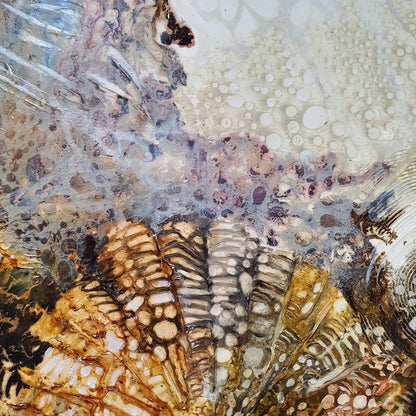 Jennifer Luck, Cosmos, Oil on Canvas