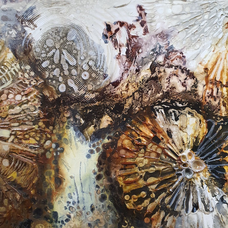 Jennifer Luck, Cosmos, Oil on Canvas