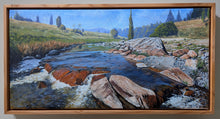 Load image into Gallery viewer, Daniel Beresford, Tumut River, Oil on Linen

