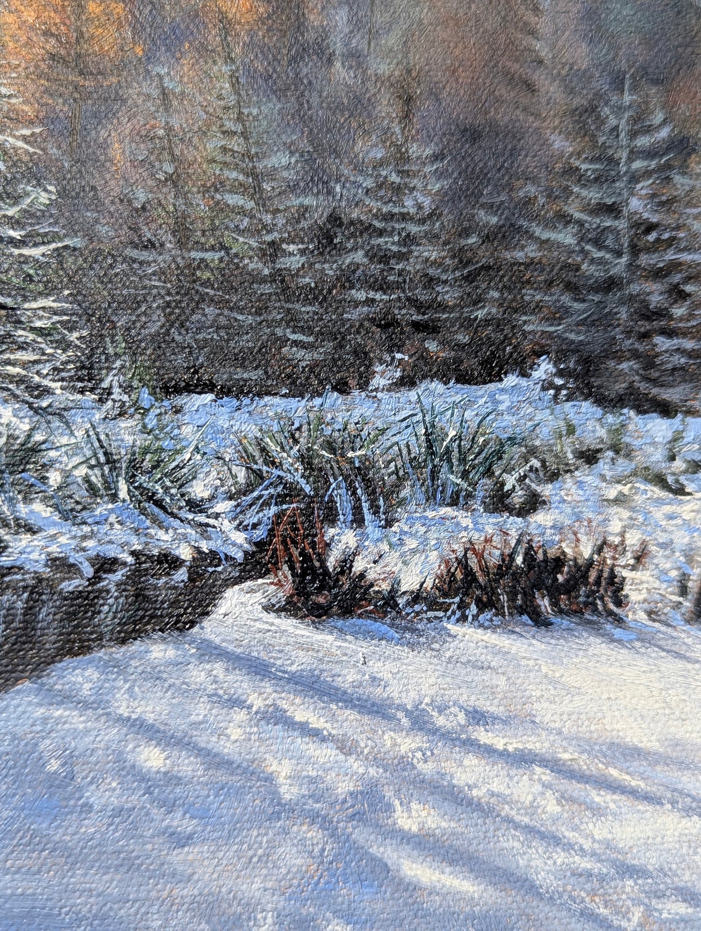 Daniel Beresford, Winters Warmth Study,  Oil on Canvas Panel
