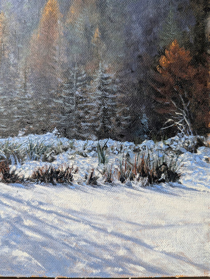 Daniel Beresford, Winters Warmth Study,  Oil on Canvas Panel