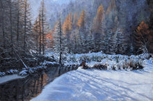 Load image into Gallery viewer, Daniel Beresford, Winters Warmth Study,  Oil on Canvas Panel
