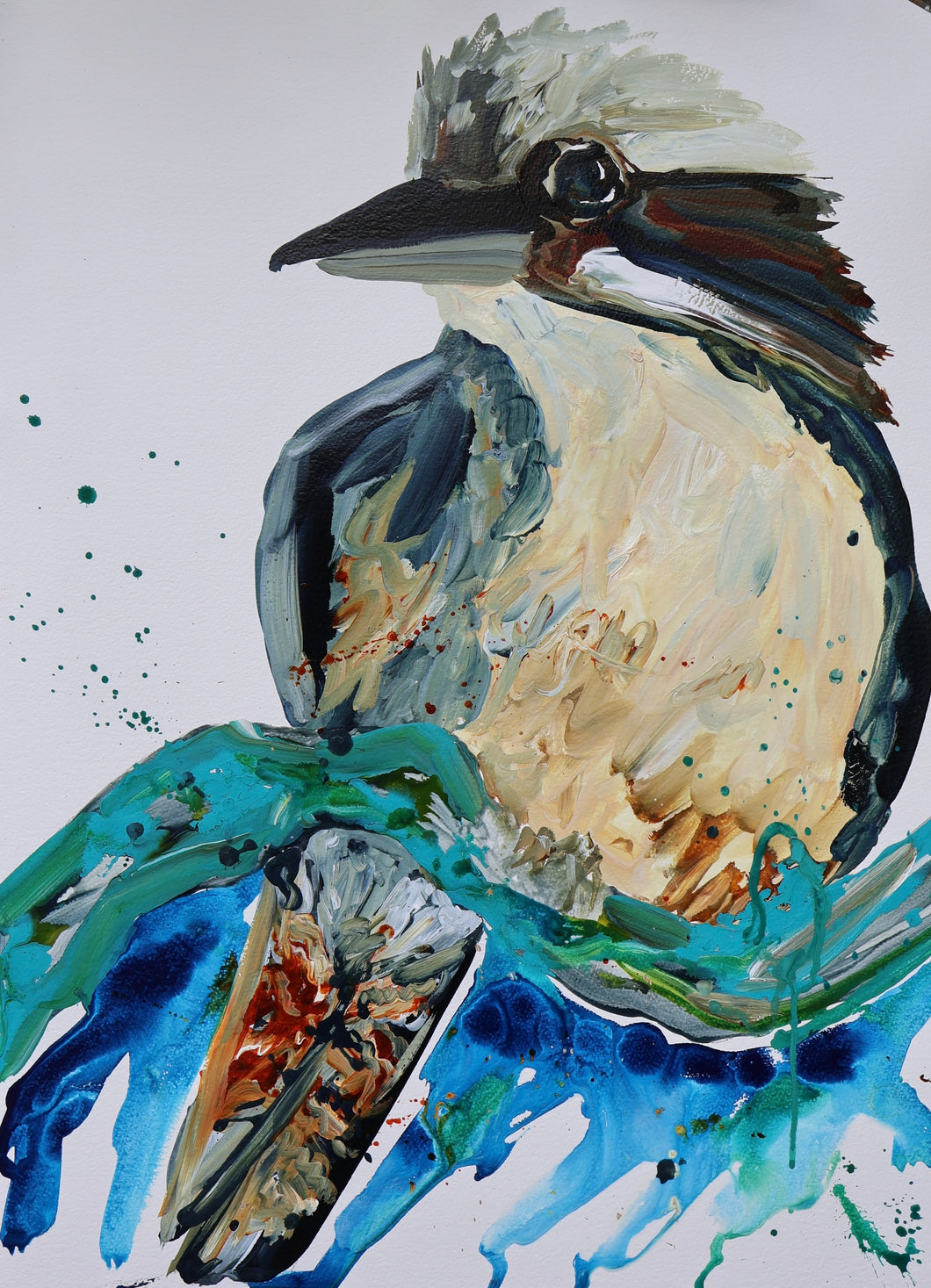 Kerry Bruce,Zach Kookaburra, Acrylic on 500gsm Art Paper