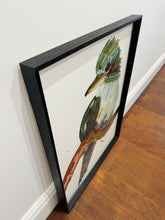 Load image into Gallery viewer, Kerry Bruce, Kookaburra , Acrylic on 500gsm Art Paper
