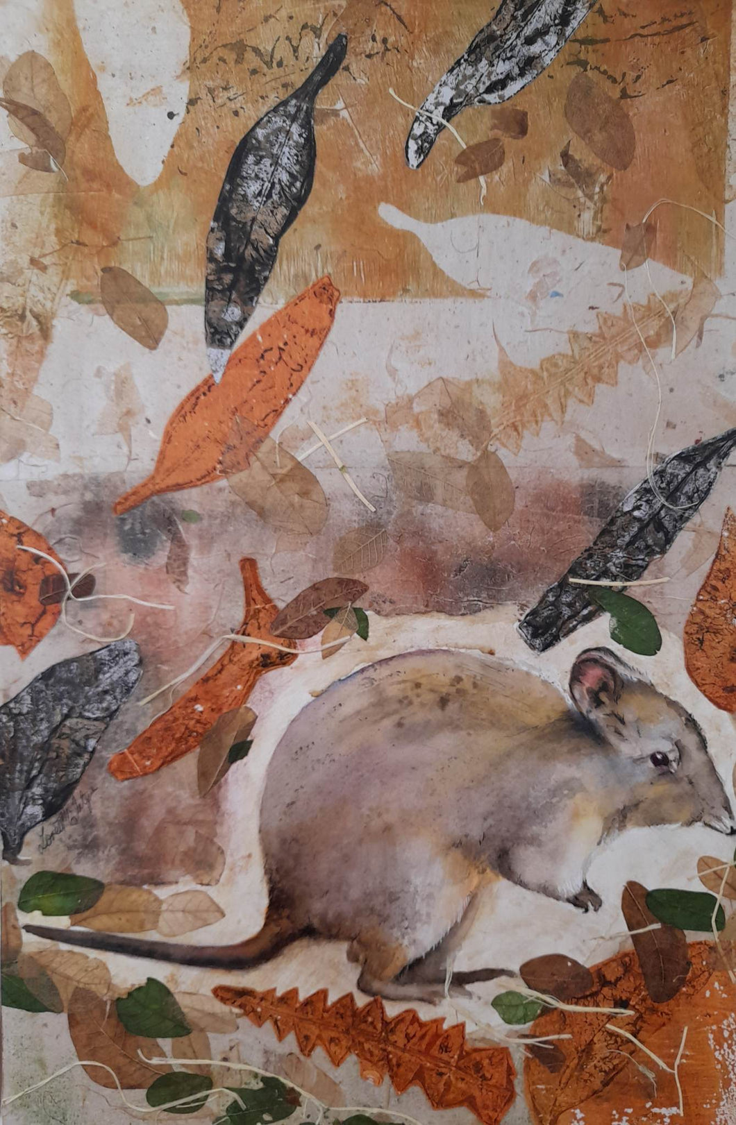 Potoroo in an abstract woodland scene.
