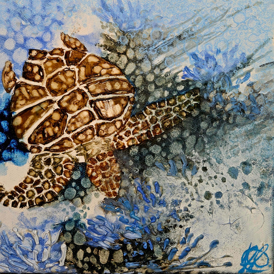 Jennifer Luck, Reef Dream, Oil on Canvas