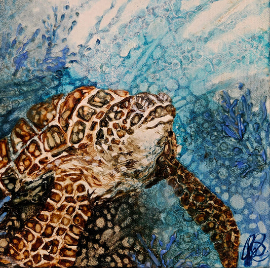 Jennifer Luck, Reef Sleep, Oil on Canvas