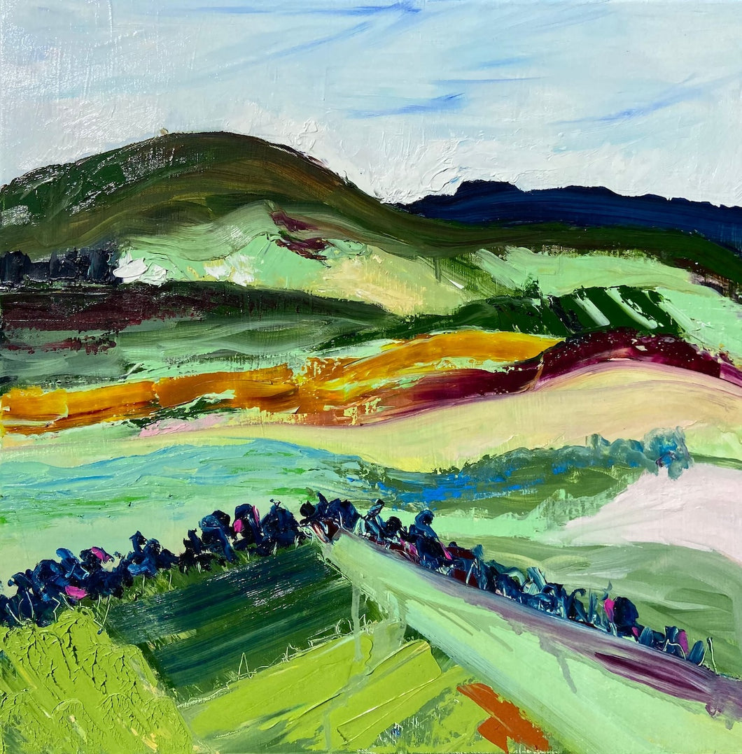 Rose Valley near Gerringong NSW showing layers of undulating hills in shades of green, ochre and purple.