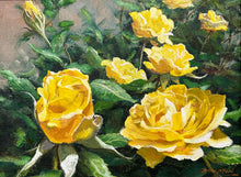 Load image into Gallery viewer, Yellow roses on a garden rose bush.
