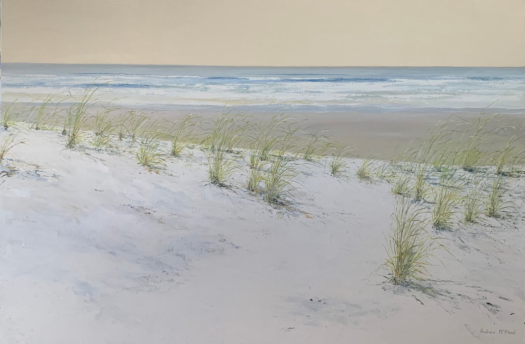 dyllic beach scene with white sand and coastal grasses.