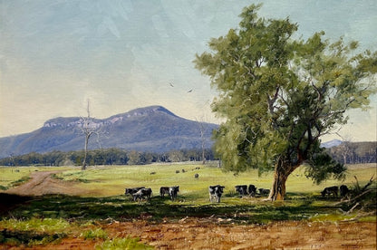 Kangaroo Valley NSW with cows grazing under trees and a mountain in the background.