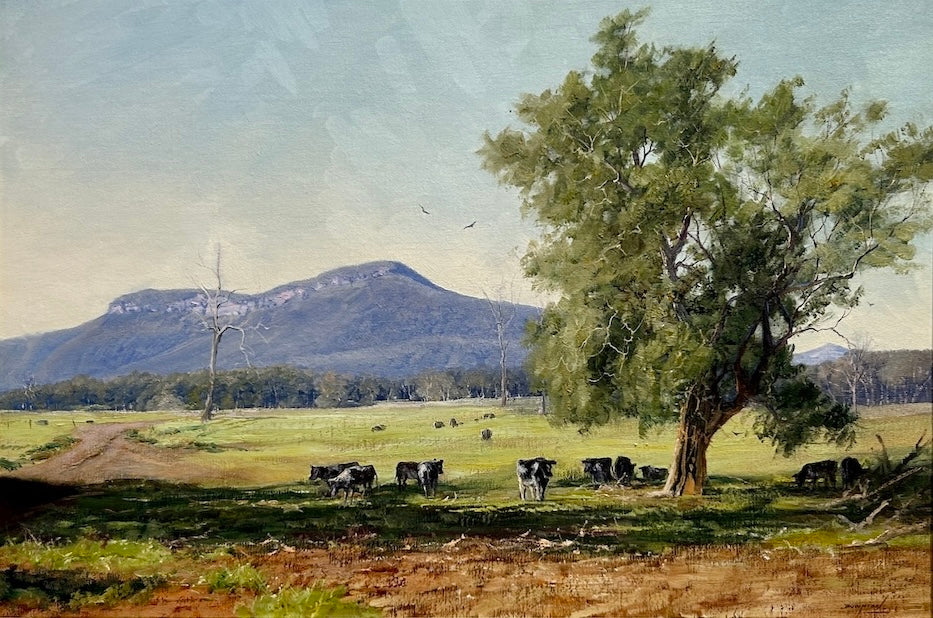 Kangaroo Valley NSW with cows grazing under trees and a mountain in the background.