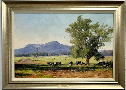 Kangaroo Valley NSW with cows grazing under trees and a mountain in the background. Framed view.