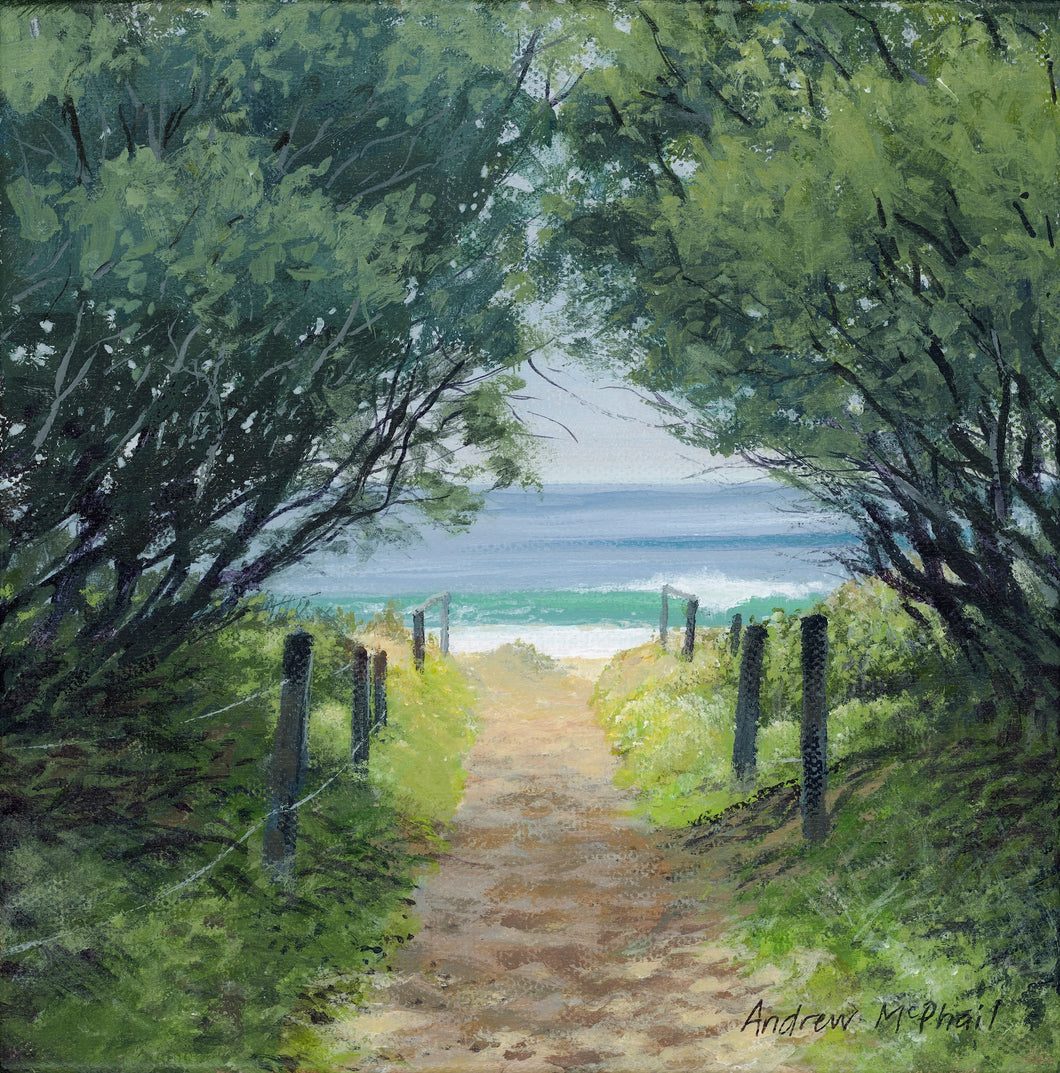 Andrew McPhail, Werri Beach Track #2, Acrylic on Canvas