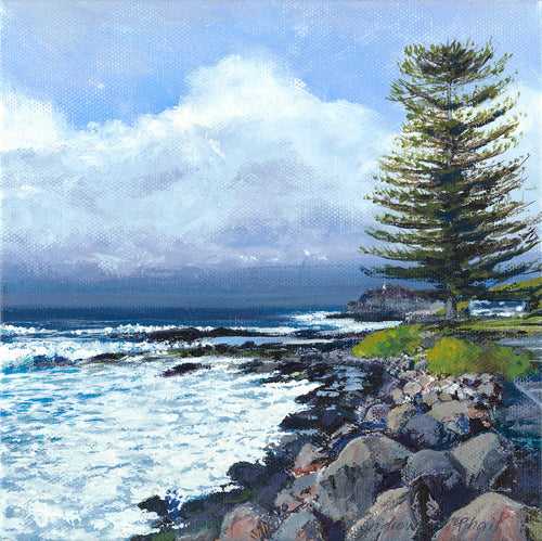 A Norfolk island Pine tree standing on the edge of a breakwall in Kiama on the NSW South Coast. White clouds in the sky and white foam in the ocean, with the deep blue of the sea stretching to the horizon.