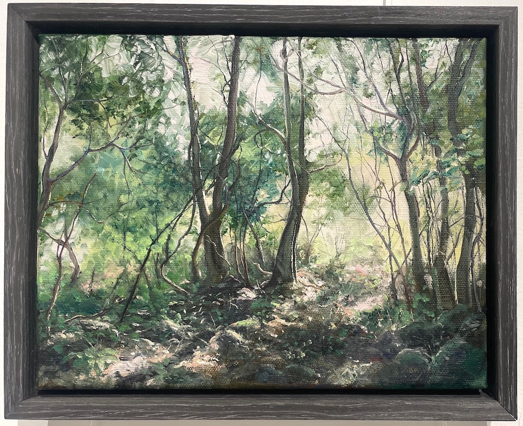 John Downton, A Fairy Glimmer. Foxground NSW. Oil on Canvas