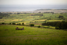 Load image into Gallery viewer, A typical rural scene on the agricultural island 
of Terceira. The Azores, Portugal 
