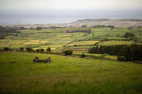 A typical rural scene on the agricultural island 
of Terceira. The Azores, Portugal 