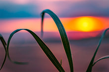 Load image into Gallery viewer, Werri Beach vibrant abstract sunrise on the NSW South Coast.
