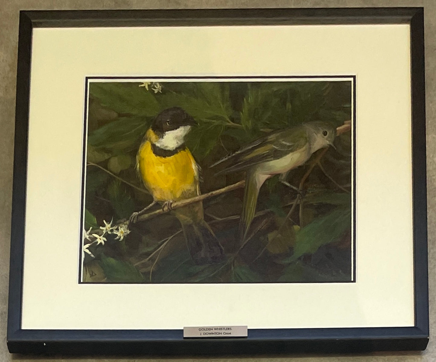 John Downton, Golden Whistlers, Oil on Canvas