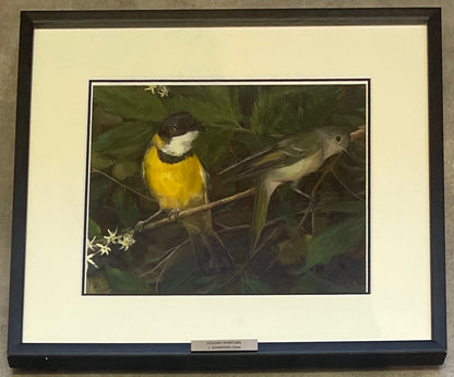 John Downton, Golden Whistlers, Oil on Canvas