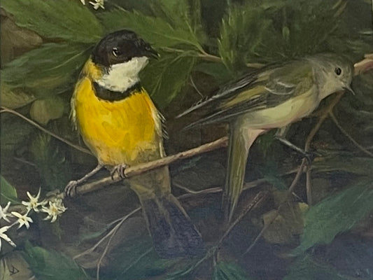 John Downton, Golden Whistlers, Oil on Canvas