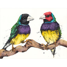 Load image into Gallery viewer, Shannon Dwyer, Gould Lookin&#39;, Ink and watercolour
