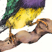 Load image into Gallery viewer, Shannon Dwyer, Gould Lookin&#39;, Ink and watercolour

