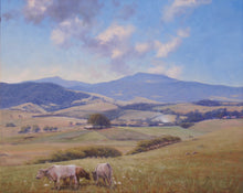 Load image into Gallery viewer, Saddleback Mountain near Kiama and Gerringong on the NSW South Coast, showing cows and birds in the foreground
