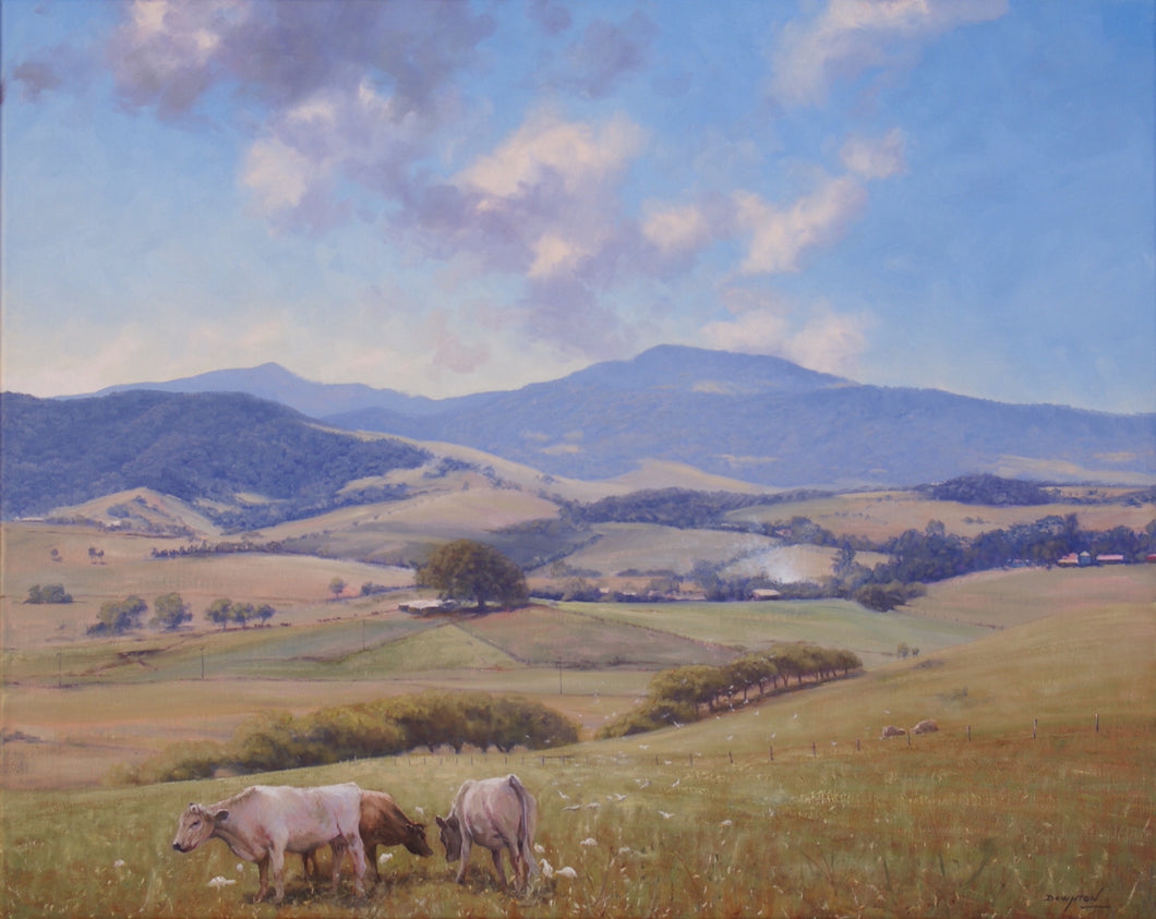 Saddleback Mountain near Kiama and Gerringong on the NSW South Coast, showing cows and birds in the foreground