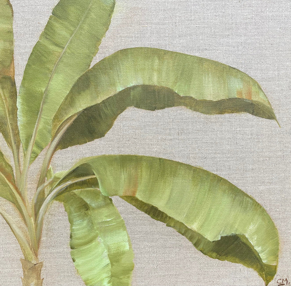 Green banana Palm on a natural linen background.