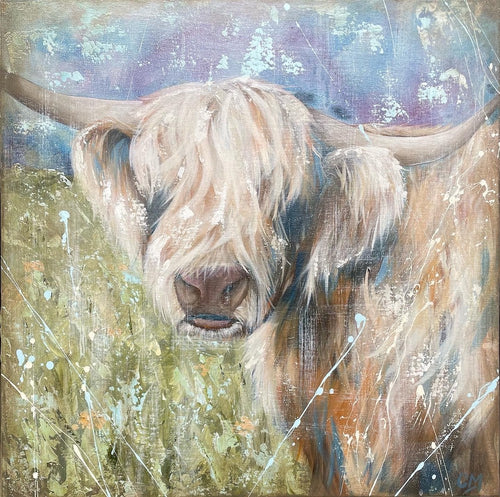 Highland cow with his head turned to the side gazing ahead while standing in a pastel coloured field.