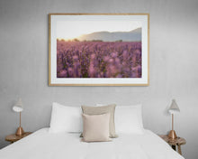 Load image into Gallery viewer, Jon Harris, Lavender in the Light, Photographic Print

